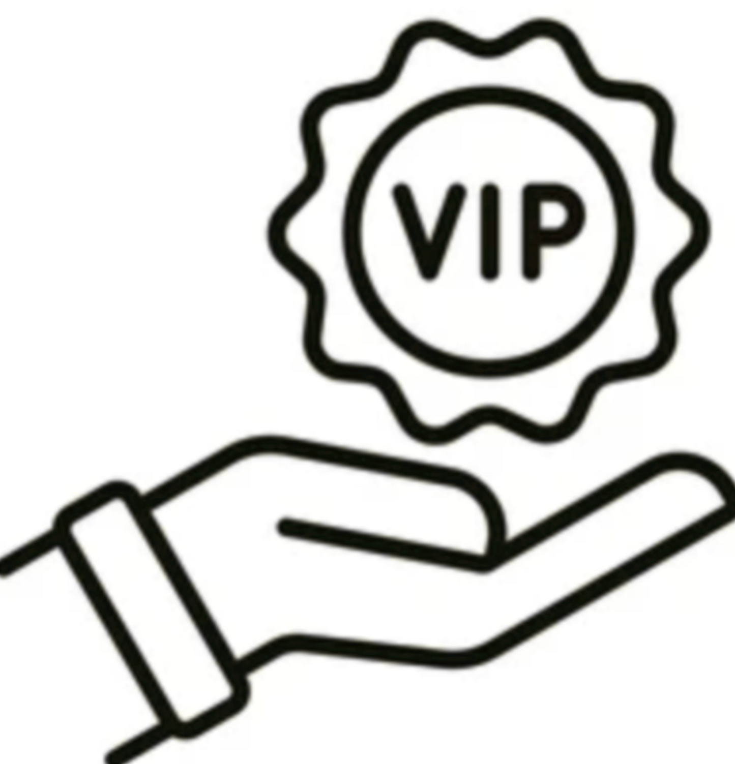 V.I.P Support